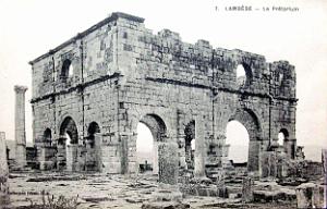 ALGERIE-RUINES ROMAINES DE LAMBESE (18)